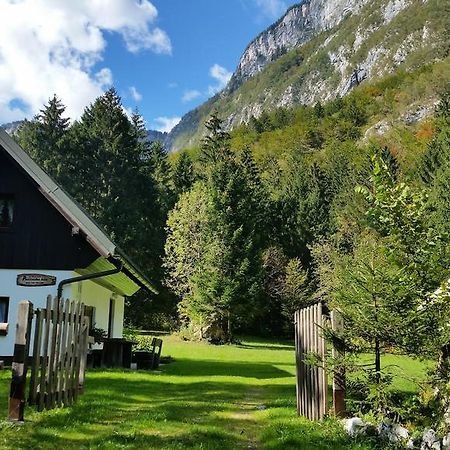 Pocitniska Hisa Ukanc Bohinj Dış mekan fotoğraf