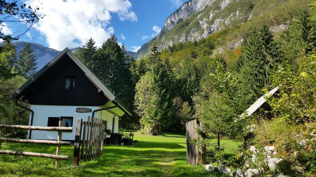 Pocitniska Hisa Ukanc Bohinj Dış mekan fotoğraf